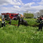 GB 20140503 009 Paard te water Kerkweg