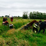 GB 20140529 003 Paard te water Lagedijk Spaarndam