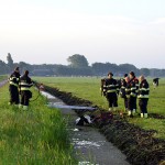 GB 20140707 001 Koe te water Lagedijk