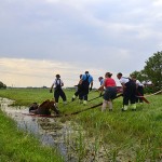 GB 20140719 002 Paard te water Inlaagpolder