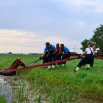 GB 20140719 005 Paard te water Inlaagpolder