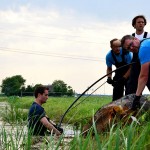 GB 20140719 008 Paard te water Inlaagpolder