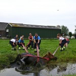 GB 20140719 014 Paard te water Inlaagpolder