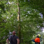 GB 20140812a 004 Stormschade Zijkanaal C Ringweg