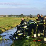 20161008-09u09-gb-002-dier-te-water-inlaagpolder-spd