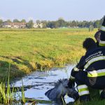 20161008-09u09-gb-003-dier-te-water-inlaagpolder-spd