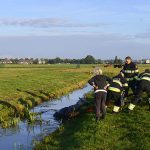 20161008-09u11-gb-005-dier-te-water-inlaagpolder-spd