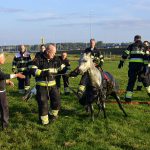 20161008-09u11-gb-006-dier-te-water-inlaagpolder-spd